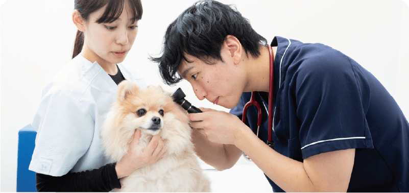 診療科目