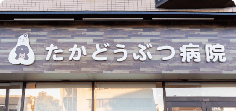 アクセス