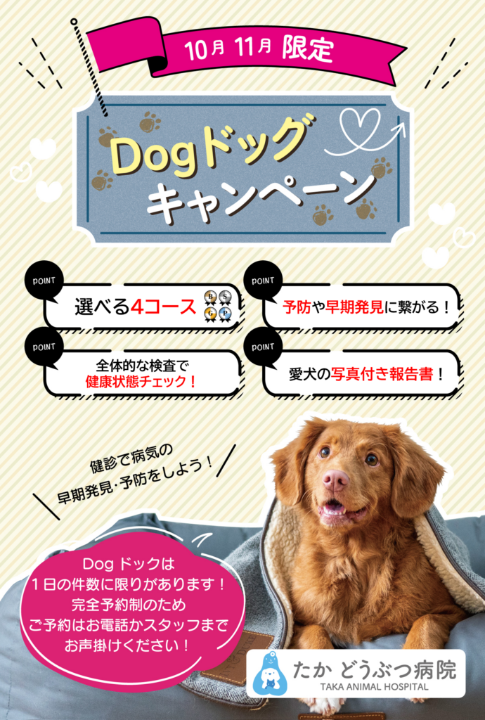 ドッグドックキャンペーン